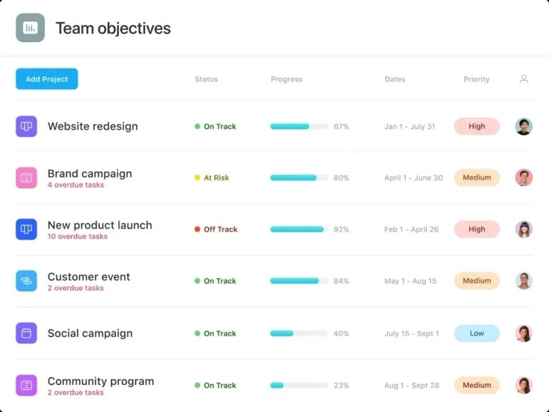 Asana Multiple Project Portfolio Template.