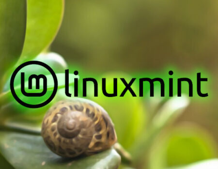 Linux Mint 22 "Wilma" is out now with Linux 6.8 and GTK4 themes