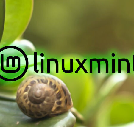 Linux Mint 22 "Wilma" is out now with Linux 6.8 and GTK4 themes