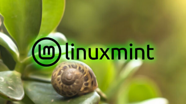 Linux Mint 22 "Wilma" is out now with Linux 6.8 and GTK4 themes