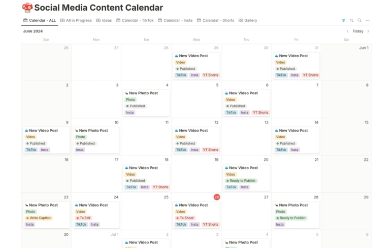 a Monthly Calendar Showing Different Types of Social Media Posts Scheduled for Publishing, with Tags on Each One to Designate the Channel and Status. 