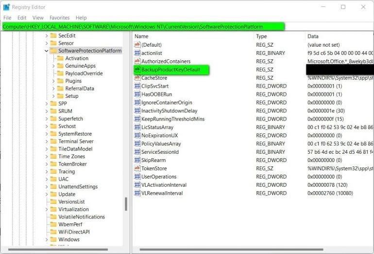 Registry Editor on Windows 11.