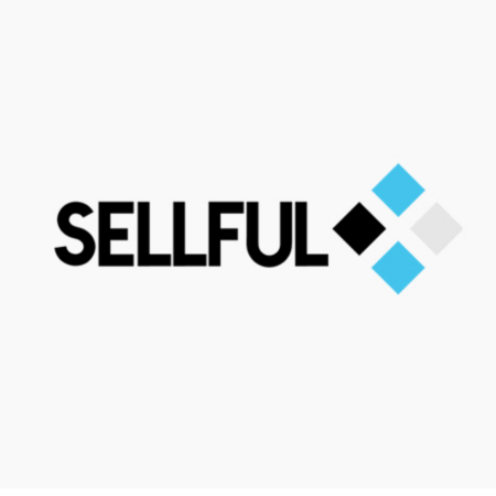 Sellful: Automate and Grow Your Business with a Strong Brand Identity